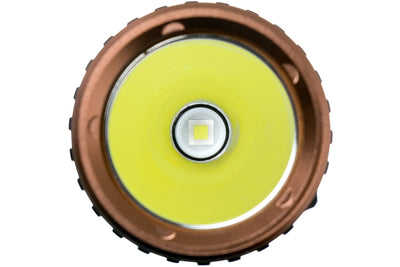 Fenix LD42 LED Flashlight | 1000 Lumens Lightweight, Compact & Powerful CoolWhite Flat Body for great grip (EDC/Work) LED Torch Light, Runs on 4*AA Alkaline Batteries (Included)